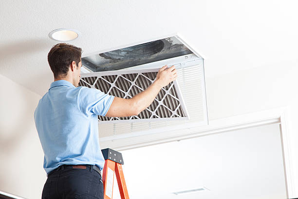 Best HVAC Maintenance Near Me  in Romeovle, IL